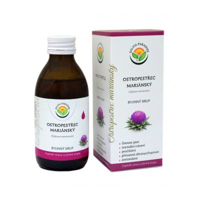 Salvia Paradise Ostropestřec mariánský DS sirup 180 ml – Hledejceny.cz