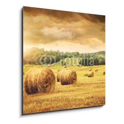 Obraz 1D - 50 x 50 cm - Field of freshly bales of hay with beautiful sunset Pole čerstvých balíků sena s krásným západem slunce