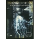 Frankenstein - Shelley Mary Wollstonecraft