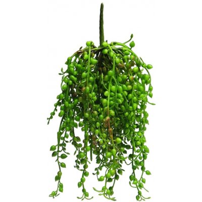 Starček - Senecio Rowleyanus zelený V25 cm – Zbozi.Blesk.cz