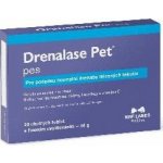 NBF Lanes drenalase pet Mini pes a kočka odvodnění tekutin 20 tbl – Hledejceny.cz