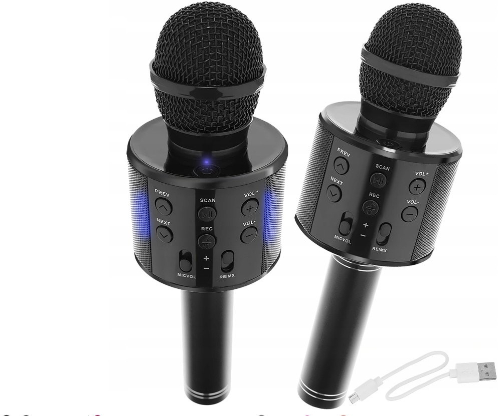 WSTER WS 858 Karaoke bluetooth mikrofon černý od 299 Kč - Heureka.cz