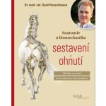 Anatomie a biomechanika sestavení a ohnutí (Gerd Heuschmann) – Hledejceny.cz