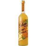 Belvoir Ginger Cordial sirup zázvor 0,5 l – Hledejceny.cz