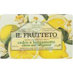 Nesti Dante Il Frutteto mýdlo Citrón a bergamot 250 g – Zboží Dáma