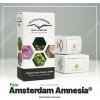 Semeno konopí Dutch Passion Amsterdam Amnesia semena neobsahují THC 5 ks