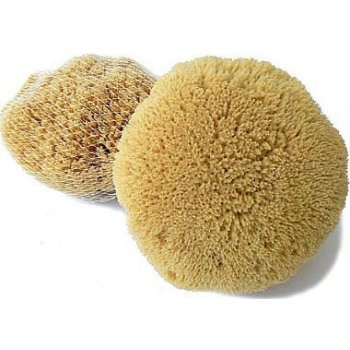 Caribbean Sun mycí houba pacifická 11-12 cm s provázkem