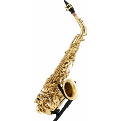 Latone LAS 600 Classic Gold Alto saxofon – Zboží Dáma