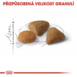 Royal Canin Savour Exigent 4 kg – Zboží Mobilmania