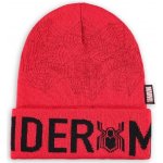 Difuzed Marvel Spider-Man pánský kulich KC067582SPN – Zboží Mobilmania