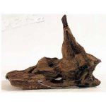 Decor Wood Kořen DriftWood Bulk SS 19-23 cm – Hledejceny.cz