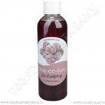 Shishasyrup Choco Rum 100ml – Zboží Mobilmania