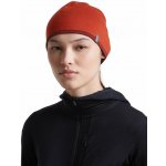 Čepice icebreaker Merino 200 Oasis Reversible Beanie agate/port – Hledejceny.cz