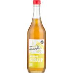 Moštárna Hostětín sirup bezový Bio 500 ml – Zboží Dáma
