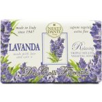 Nesti Dante Dei Colli Fiorentini Lavanda Relaxing přírodní mýdlo 250 g – Hledejceny.cz