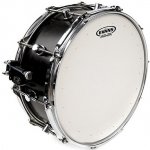 Evans B12G2 – Zboží Dáma