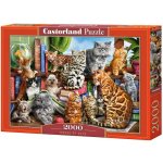 Castorland Kočky v domě 2000 dílků – Zboží Mobilmania