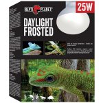 Repti Planet Daylight Frosted 25 W 007-41021 – Zboží Dáma