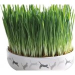 Trixie keramická miska na trávu pro kočky 15 x 4 cm – Zboží Dáma