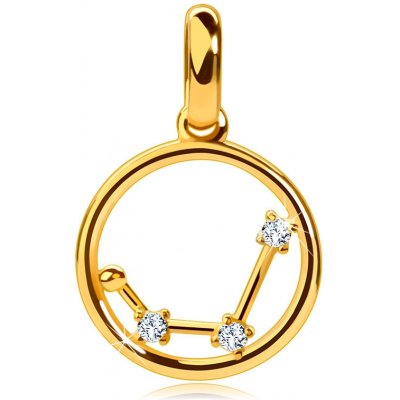 Šperky Eshop Přívěsek 14K žluté zlato, hvězdné znamení Vodnář v kruhu čiré zirkony S2GG242.29