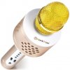 Karaoke Technaxx MusicMan PRO BT X35 karaoke mikrofon zlatý stříbrný