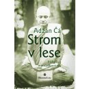 Strom v lese - Příběhy a podobenství - Adžán Čá