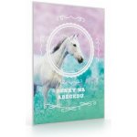 Karton P+P Desky na ABC kůň romantic – Zboží Dáma