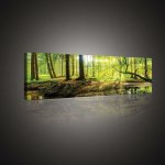Postershop Obraz na plátně: Lužní les - 145x45 cm – Hledejceny.cz