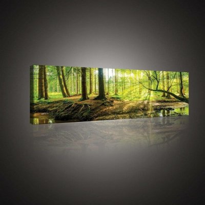 Postershop Obraz na plátně: Lužní les - 145x45 cm – Hledejceny.cz