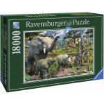 Ravensburger Divočina 18000 dílků – Sleviste.cz