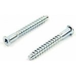 WT WINTECH Konfirmát 3,0 mm 6H 7,0 × 50 ZB / balení 250 ks – Zboží Mobilmania