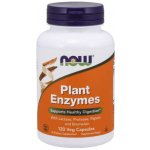 Now Foods Plant Enzymes rostlinné enzymy 120 kapslí – Hledejceny.cz