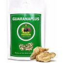 GuaranaPlus Maca Tricolor XL 400 kapslí