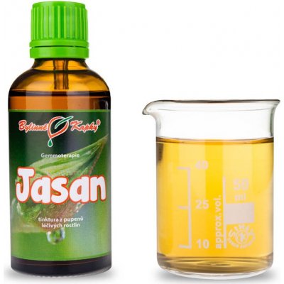Bylinné kapky Gemmoterapie Jasan pupeny tinktura z pupenů 50 ml – Hledejceny.cz