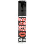 Blow Job Mouth Spray 25 ml Mátový ústní sprej – Zboží Dáma