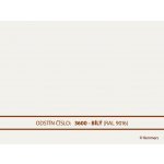 Remmers Deckfarbe 2,5 l Bílá – Sleviste.cz