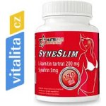 Nutricius Syneslim 120 tablet – Hledejceny.cz