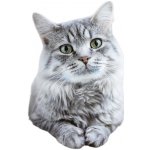 Biokat’s Bianco Extra s aktivním uhlím 5 kg – Zboží Dáma