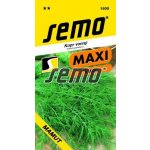 Kopr vonný Mamut – Sleviste.cz