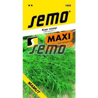 Kopr vonný Mamut – Sleviste.cz