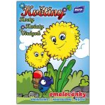 Omalovánky MFP Květiny – Hledejceny.cz