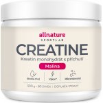 Allnature Sportlab Creatine monohydrát 300 g – Hledejceny.cz