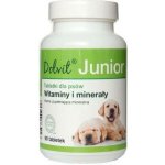 Dolvit Junior Plus - vitamíny a cheláty pro zdravý růst a vývoj mladých psů 90 tbl – Hledejceny.cz
