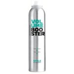 Dusy Style Volume Booster 250 ml – Zboží Dáma