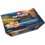 Ontario Adult Dog Chicken with Vegetable 320 g – Zboží Mobilmania