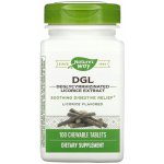 Nature's Way DGL 100 tablet – Hledejceny.cz