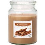 Bispol Aura Maxi Cinnamon 500 g – Zboží Dáma
