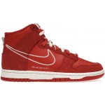 Nike Dunk High First Use Red DH0960-600 – Hledejceny.cz