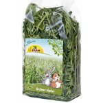 JR Farm Zelený oves 100 g – Zboží Mobilmania