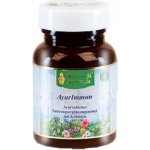 Maharishi Ayurveda AYUR IMMUN 60 tablet – Hledejceny.cz
